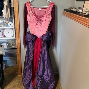 Hocus Pocus witch costume